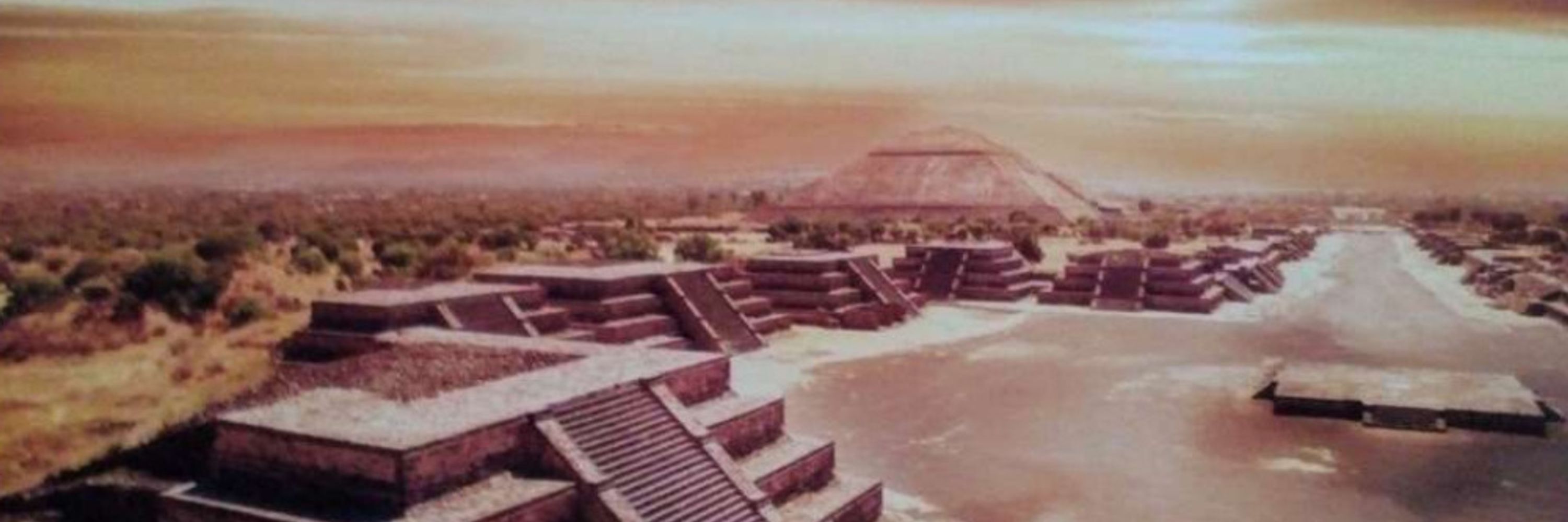 sharxolotl
