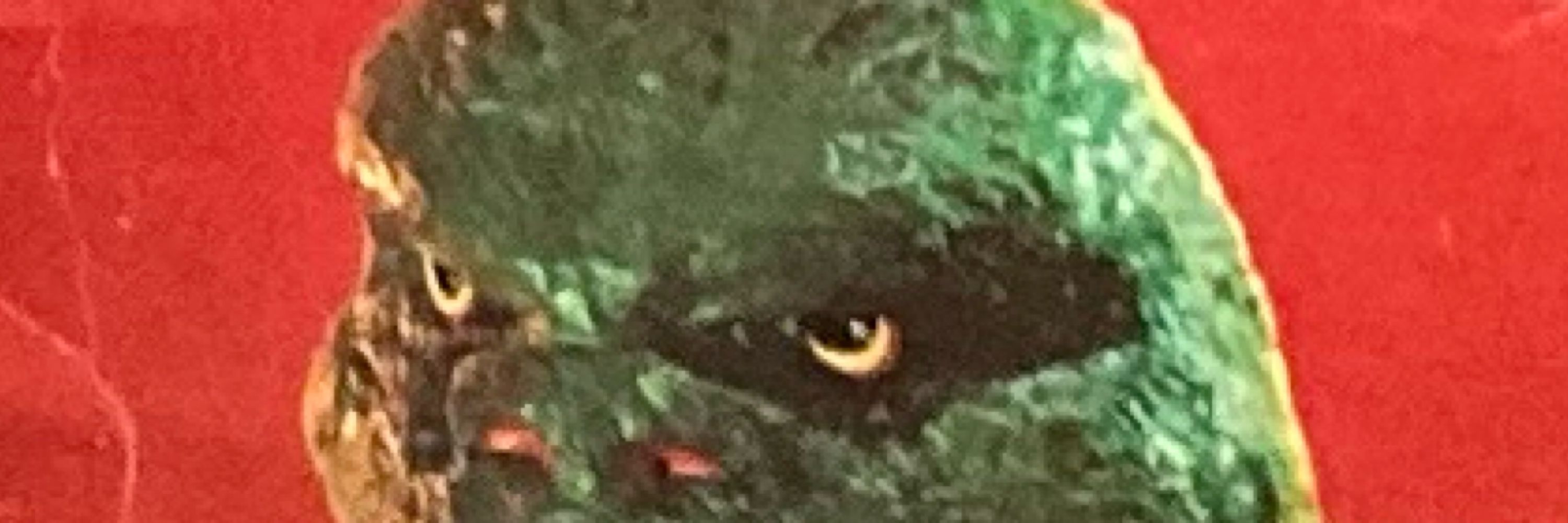 Vader Had Eyebrows