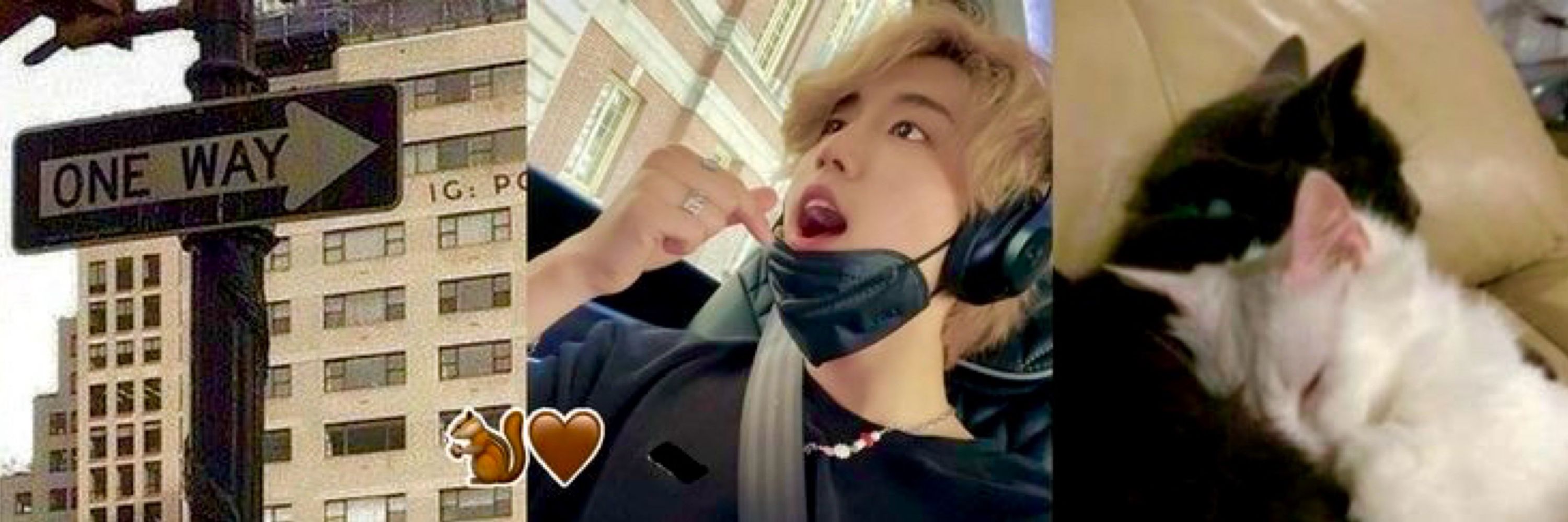 ﹙𝓯.﹚INNIAN