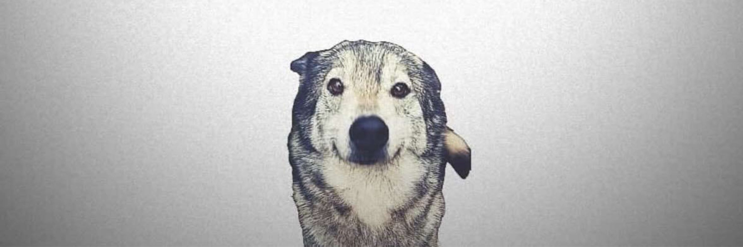 joni