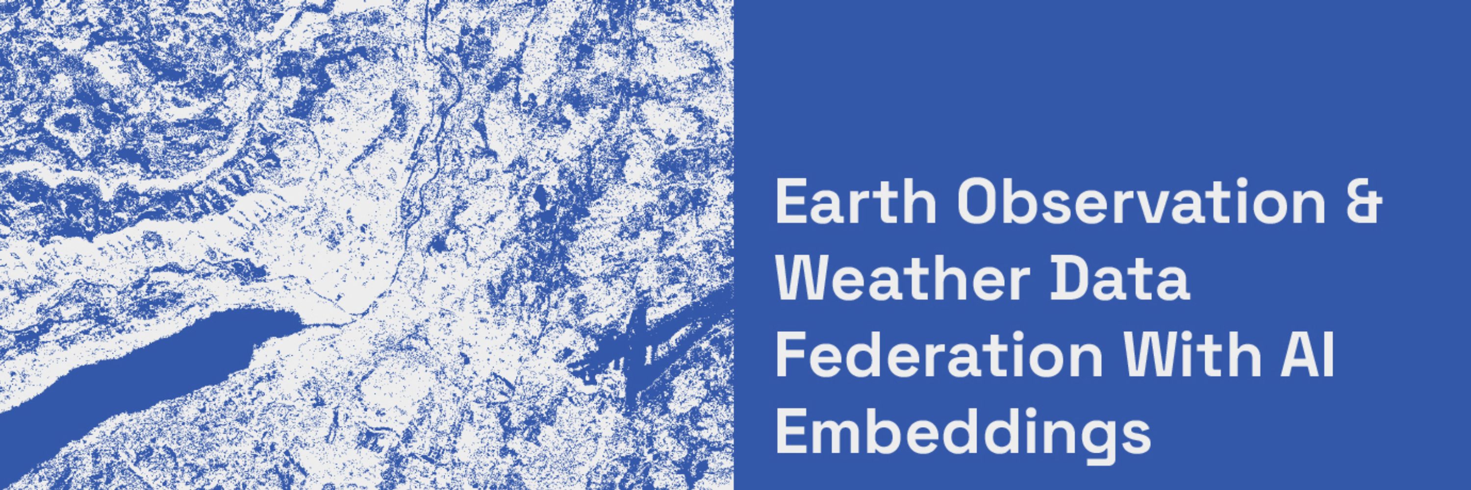 Embed2Scale project