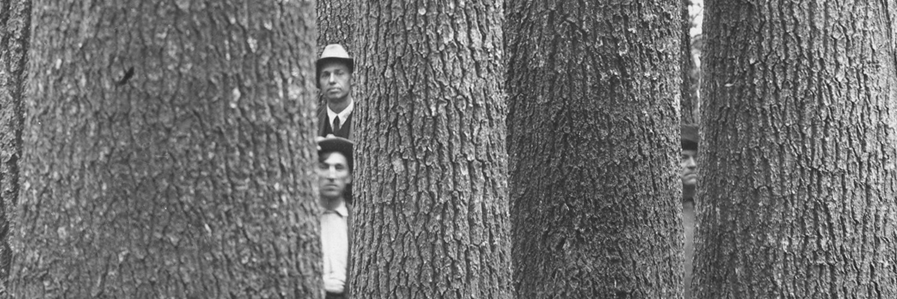 Forest History Society