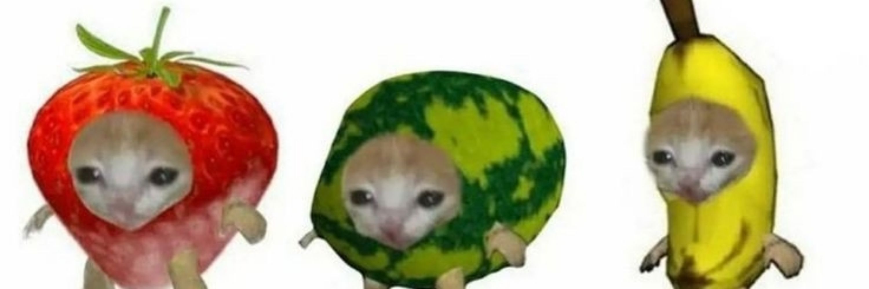 akarinnn.