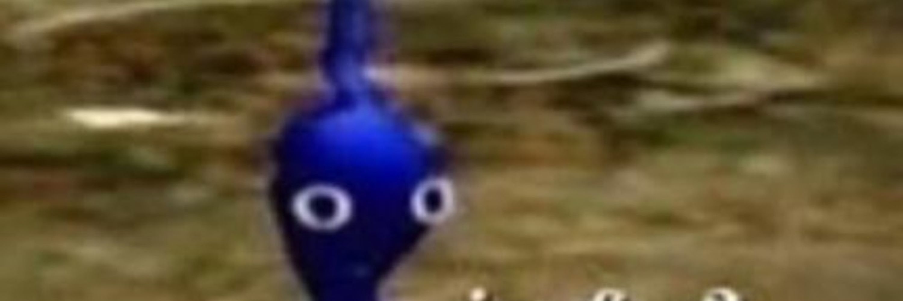 dan