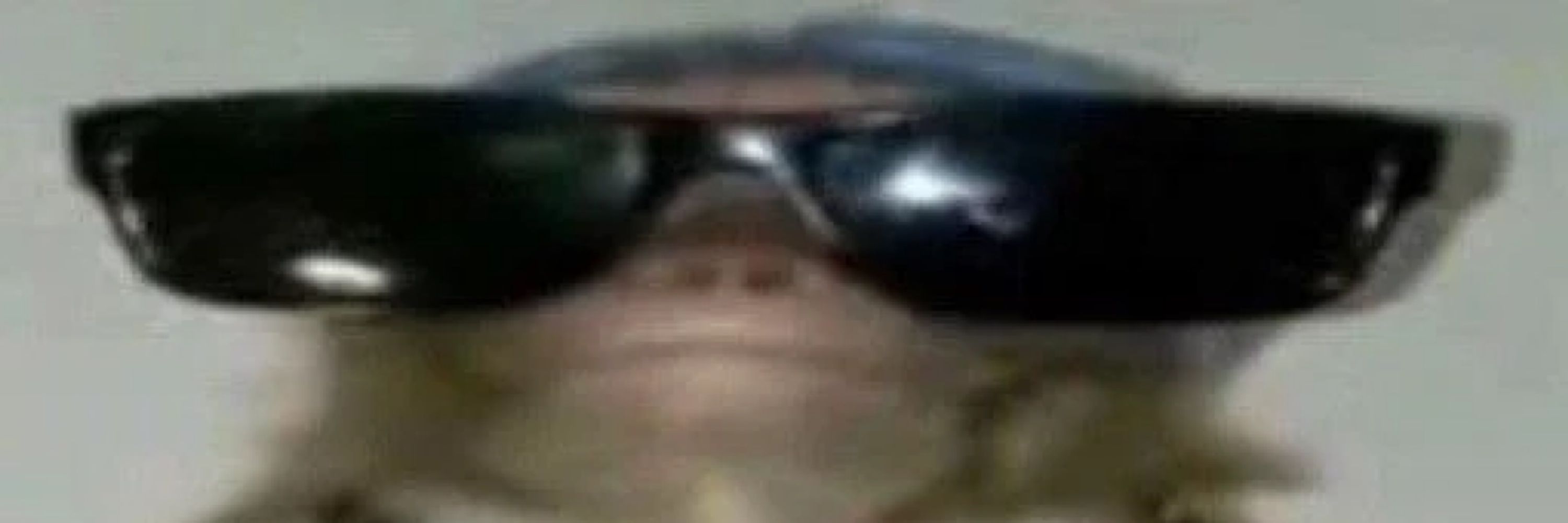 glorp