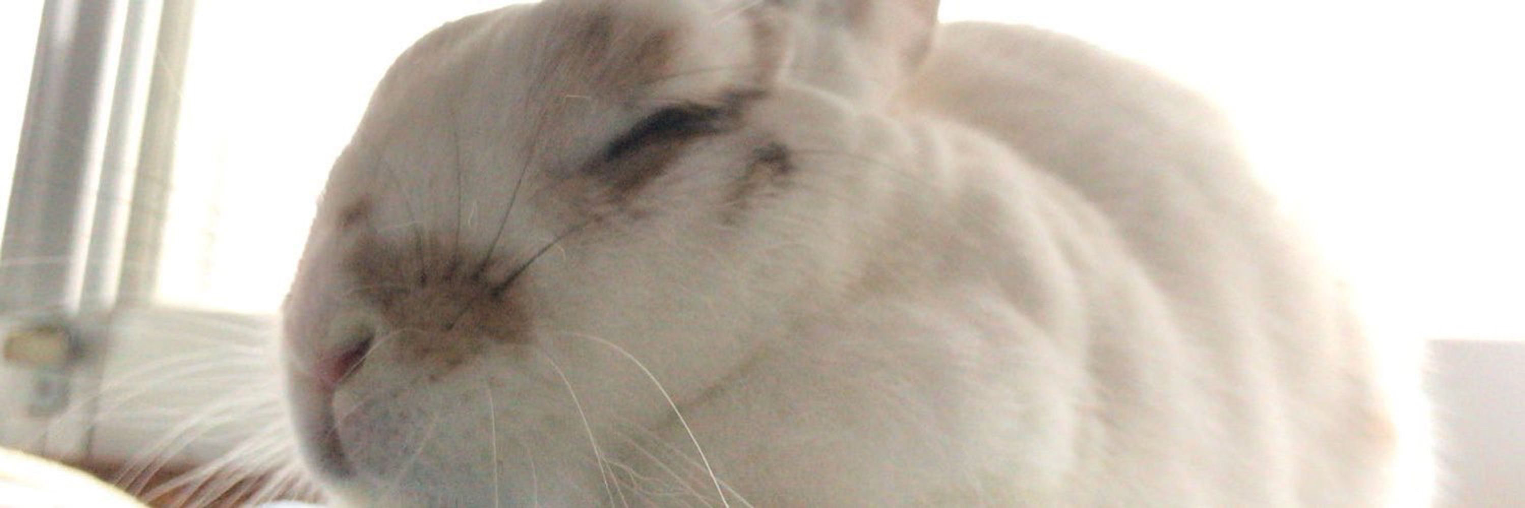 ゆちお