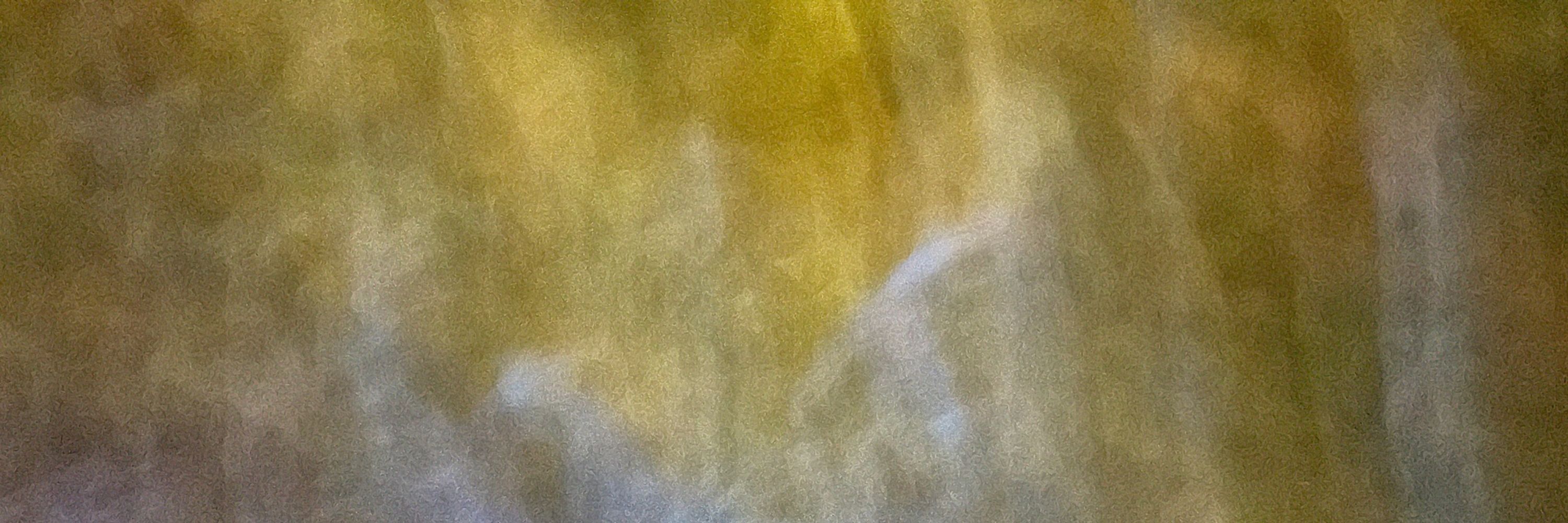 Parule