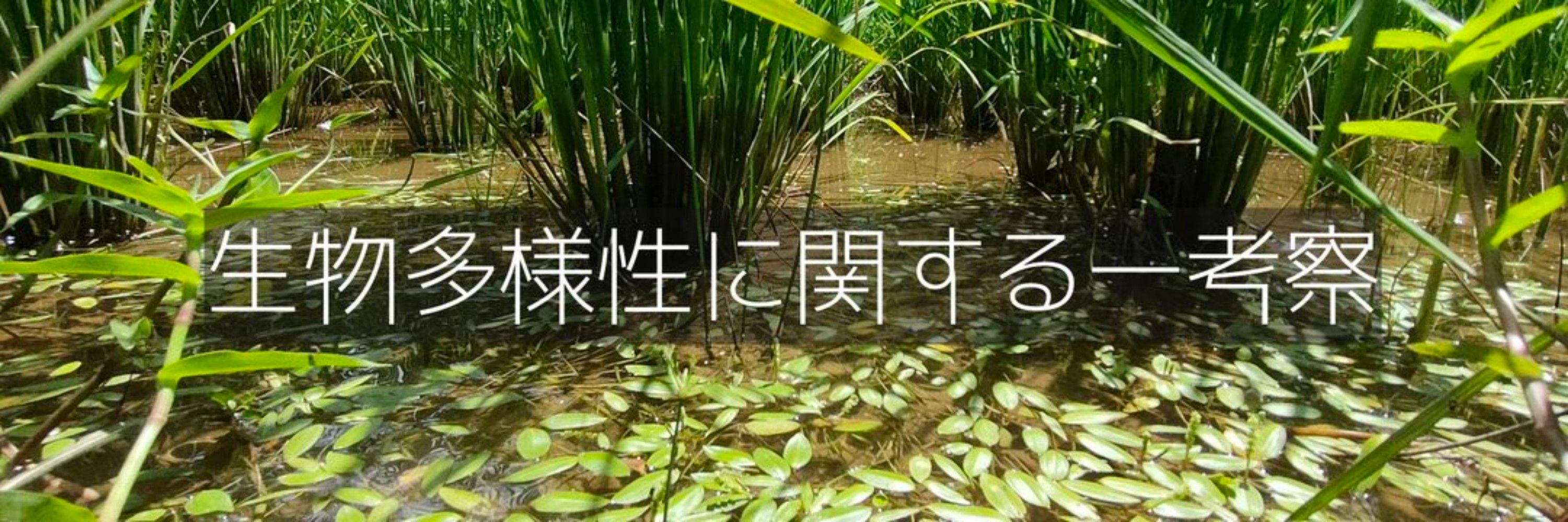 小宮春平(湿地帯を作る人)