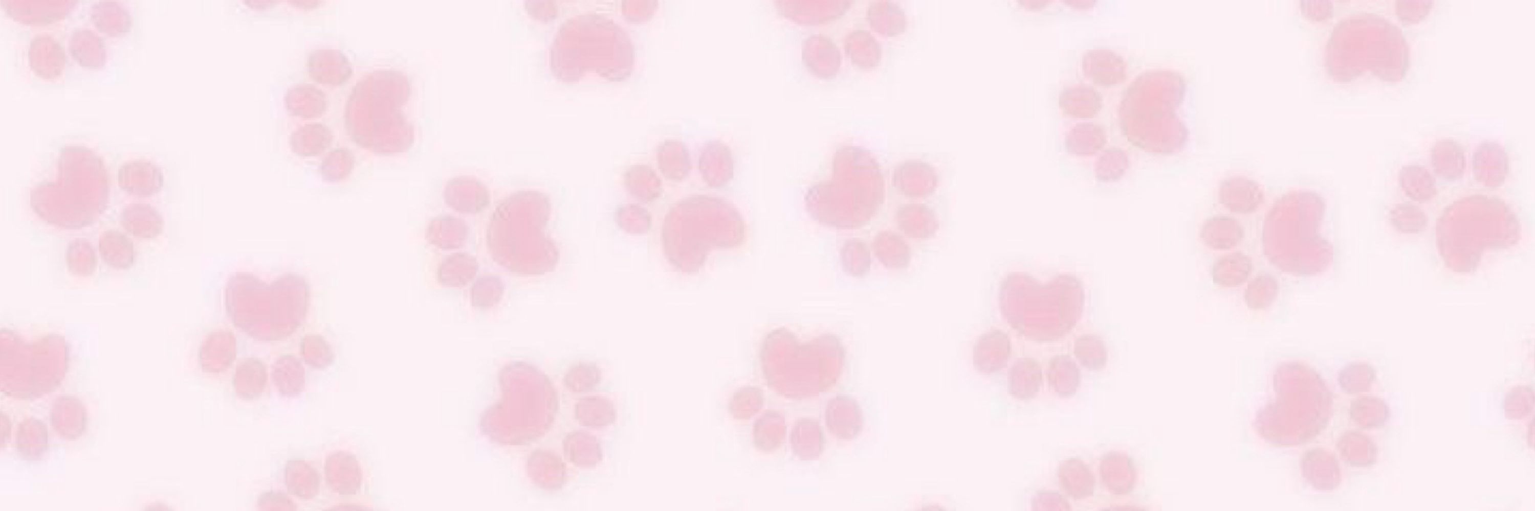 Bunny!! ⟡