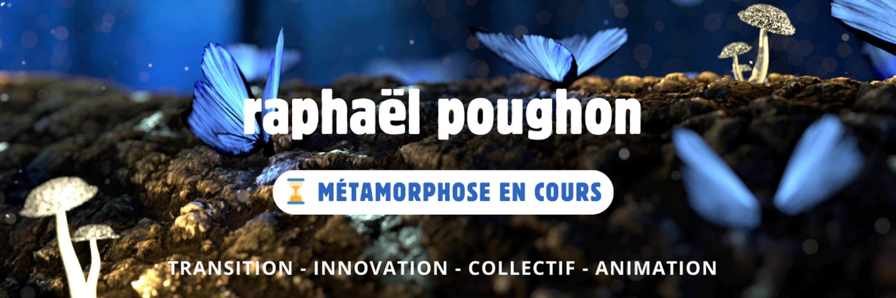🧭 rapou > papillon 🦋
