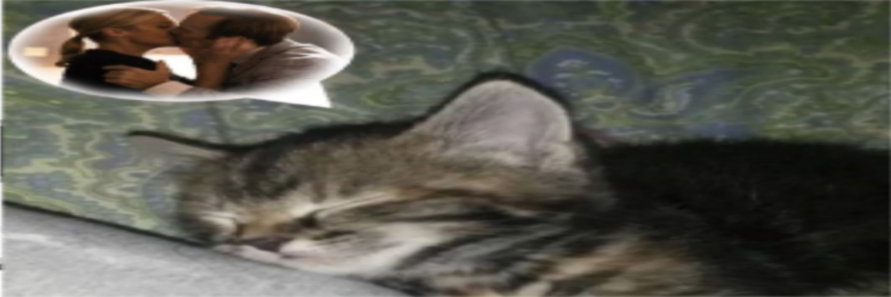 Pavlov