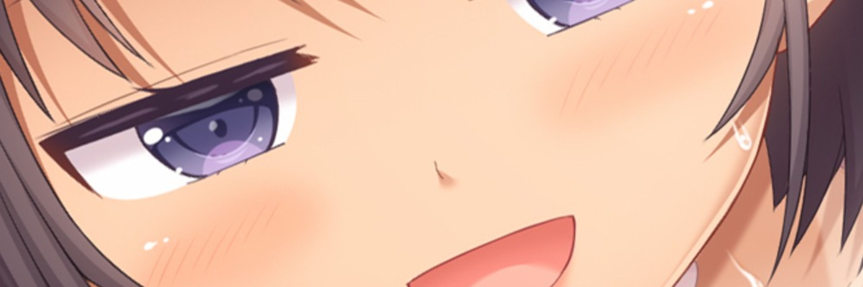 はむはむソフト🔞美少女ゲームブランド
