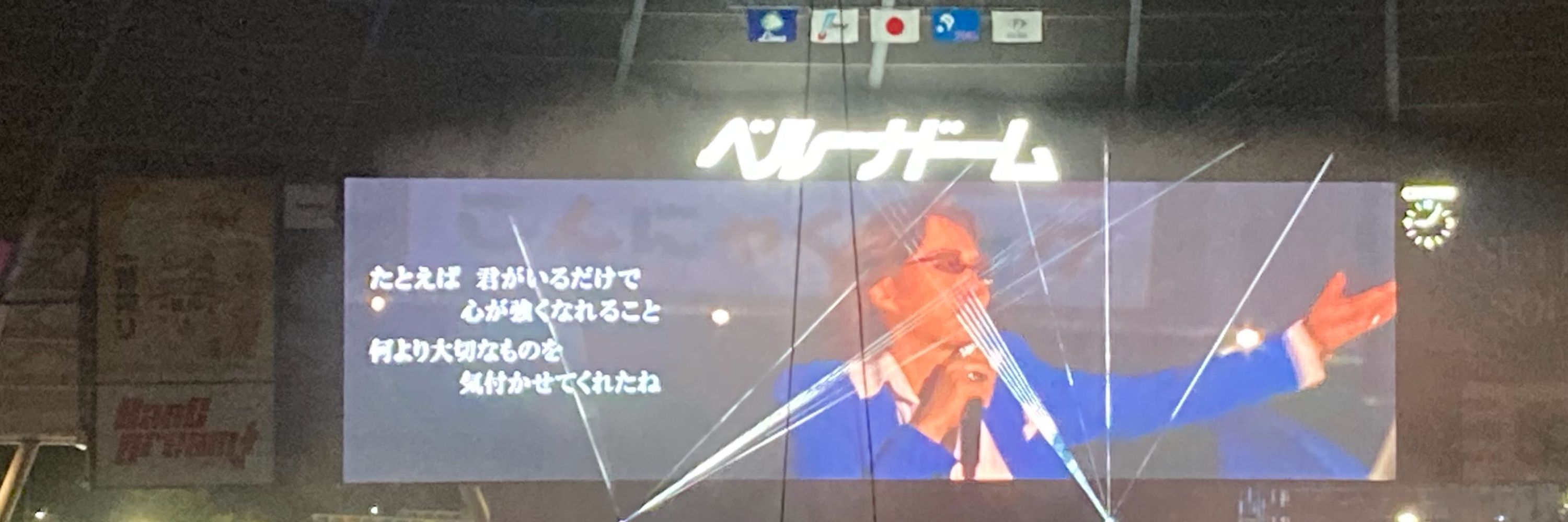 どんはざくら🦁
