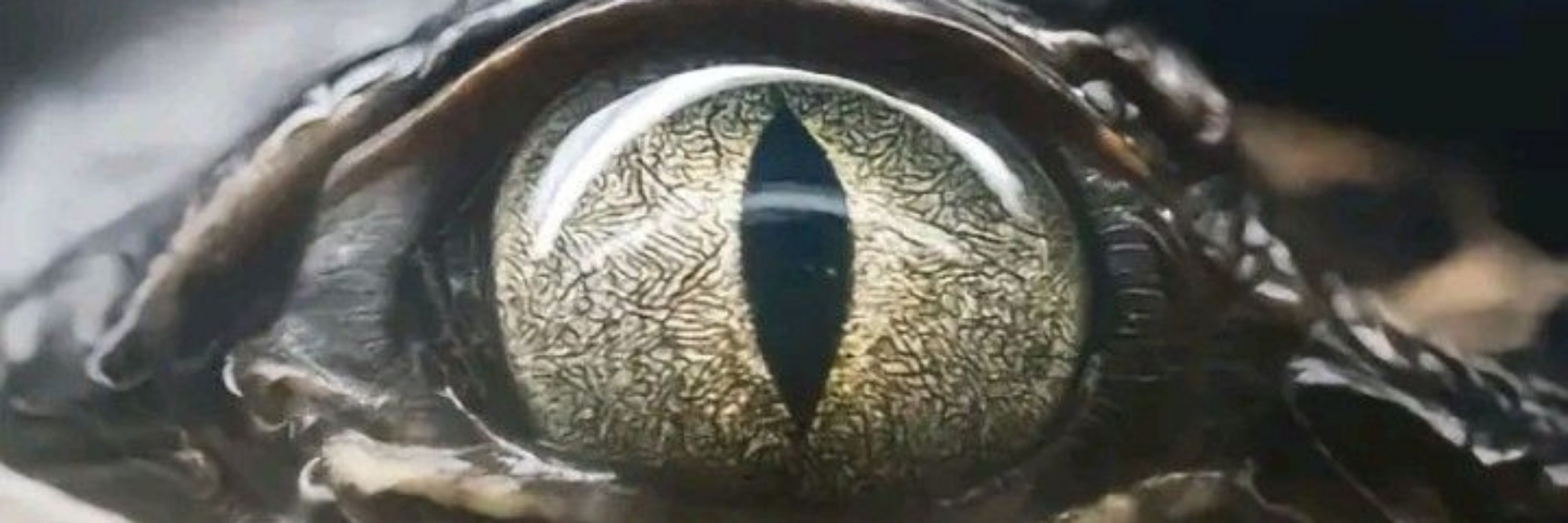 Du