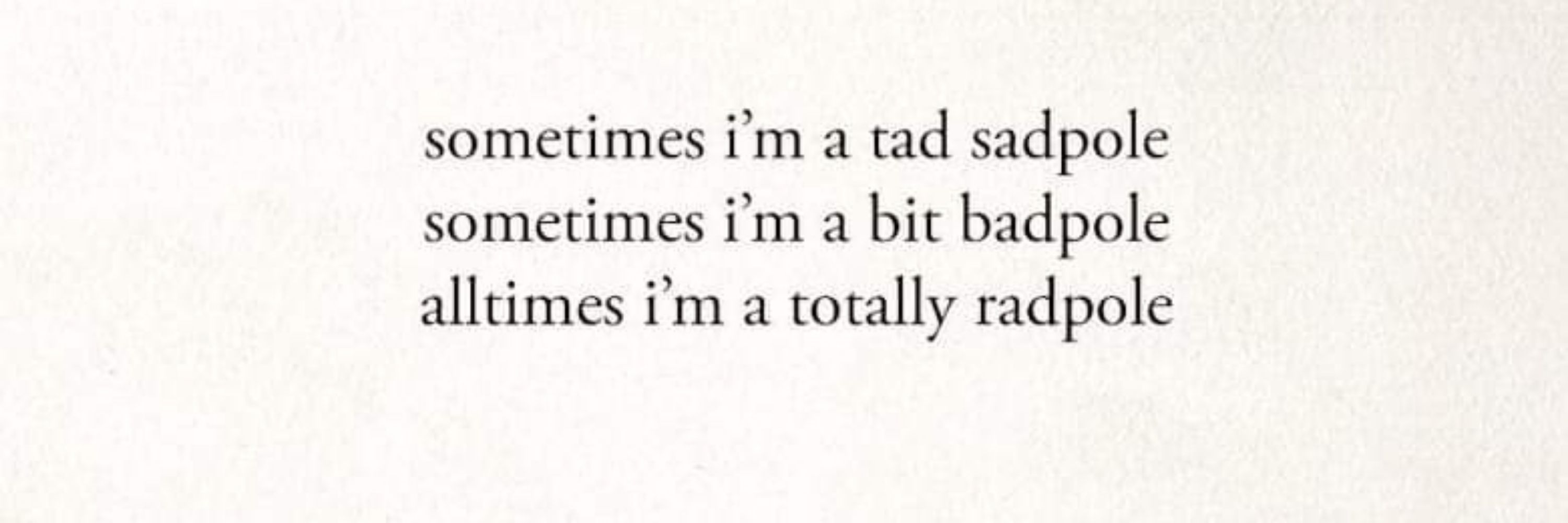 ZotatoChips