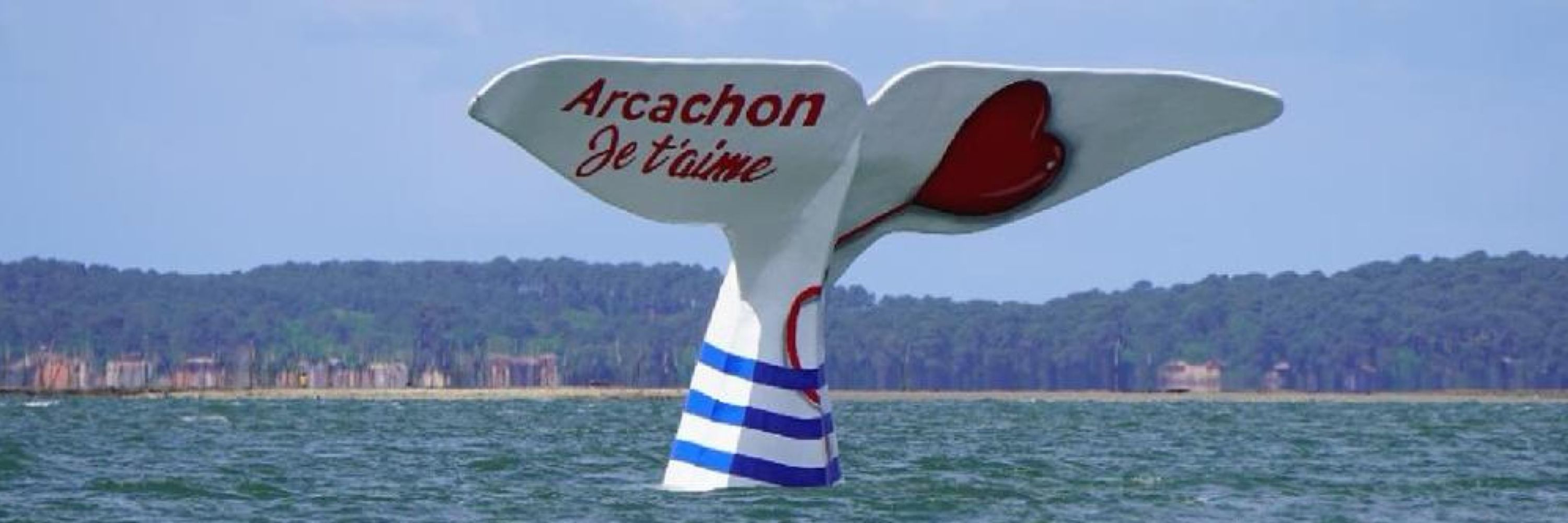 Larcachonnaise🧜‍♀️
