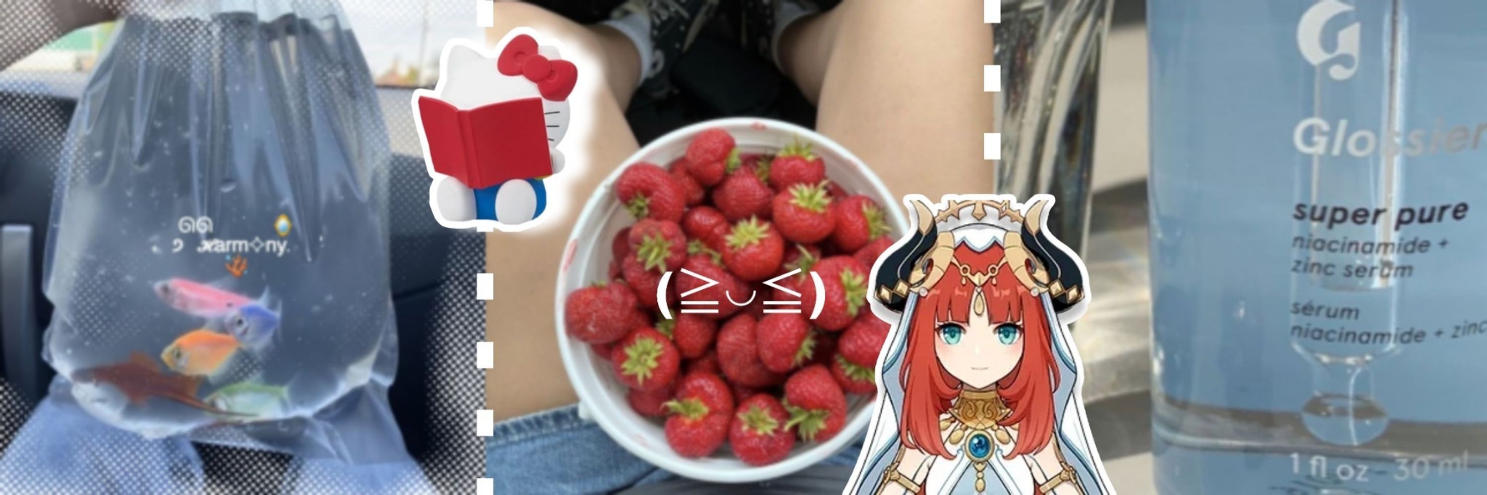 ⟢ ren ‧ ⁺