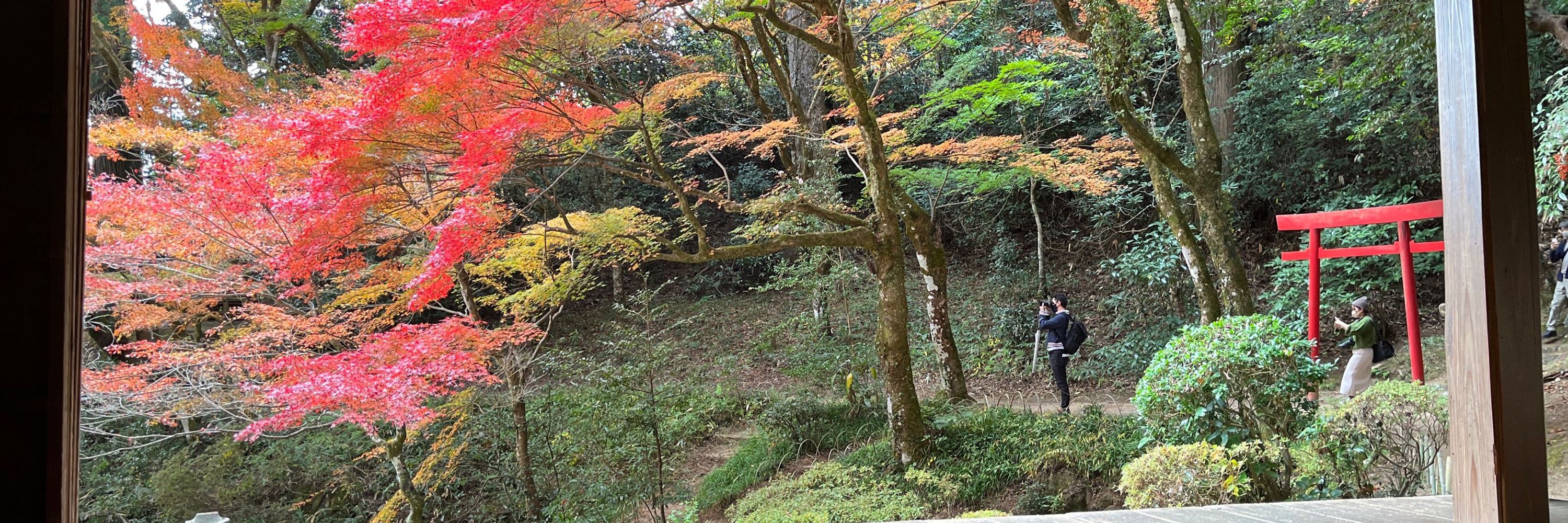 fumitomo