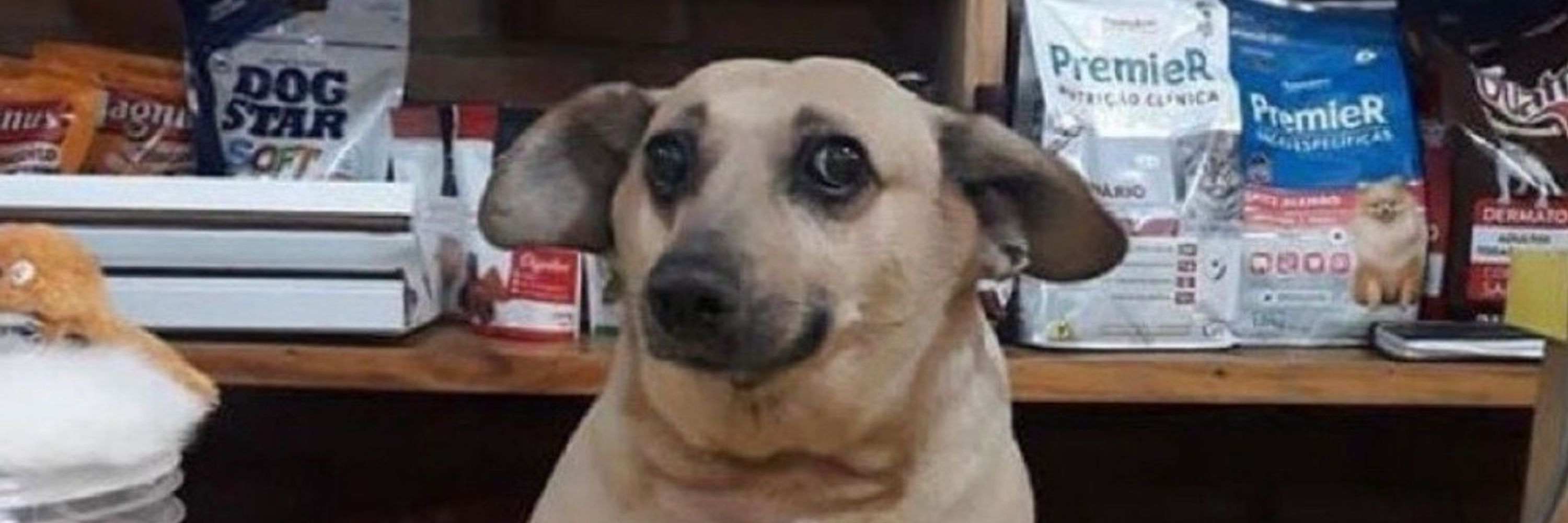 Bella Ciao