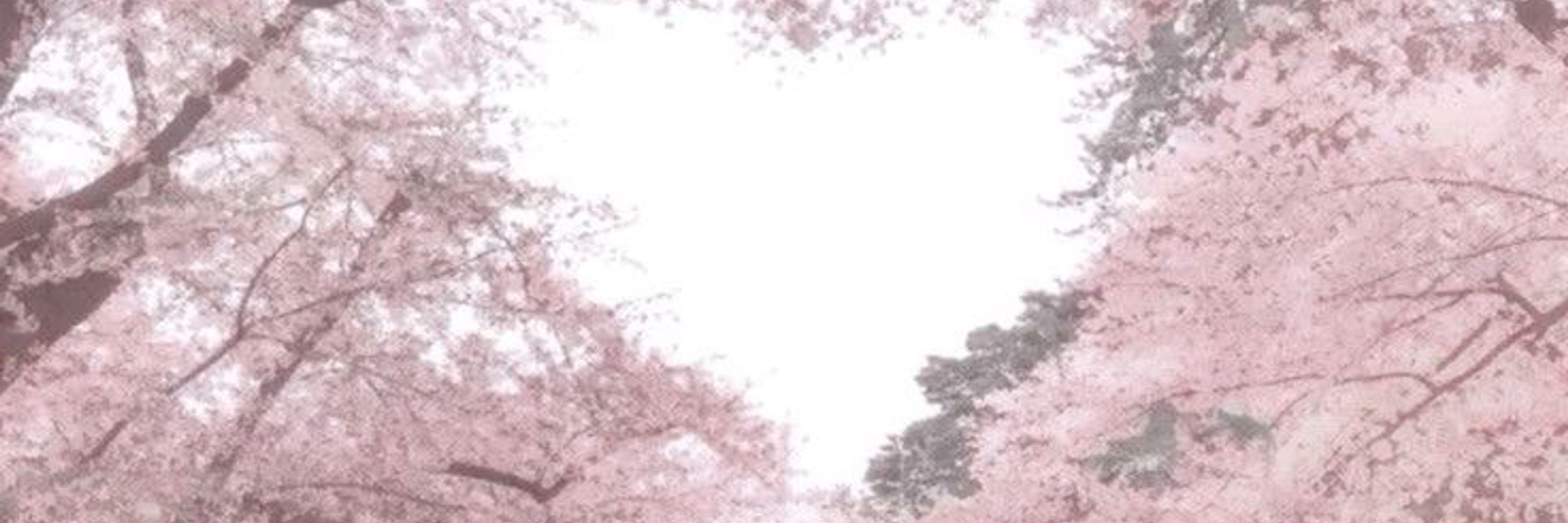 L1L_M4R1