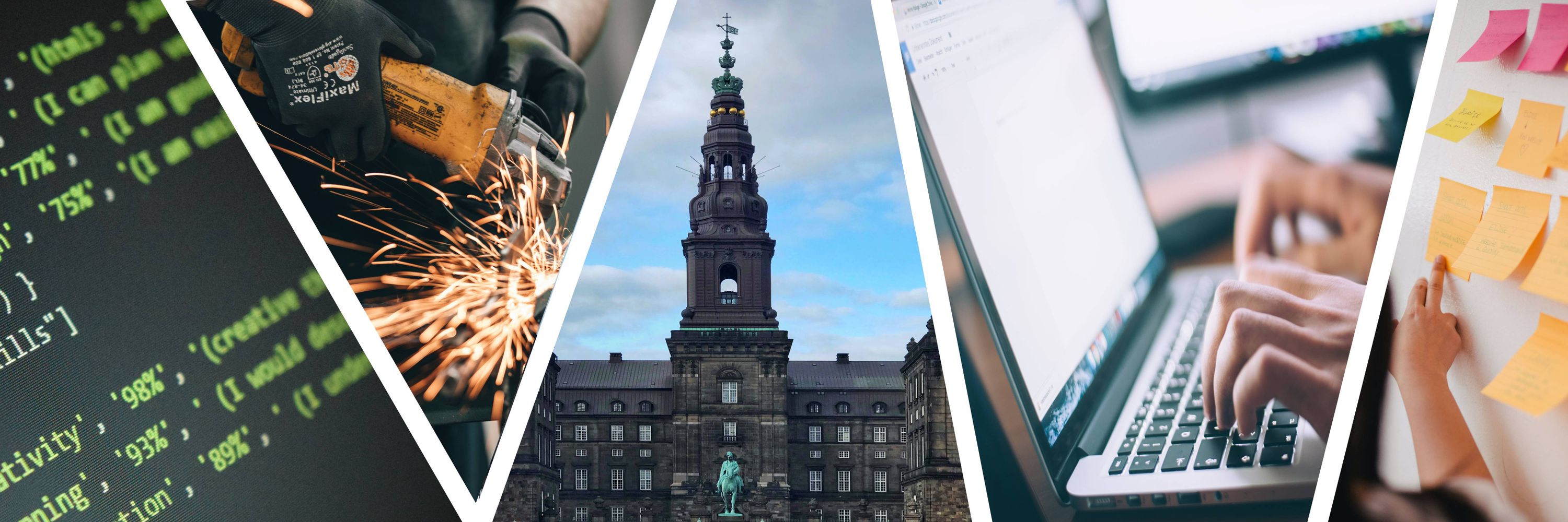 Danske Erhvervsskoler og -Gymnasier