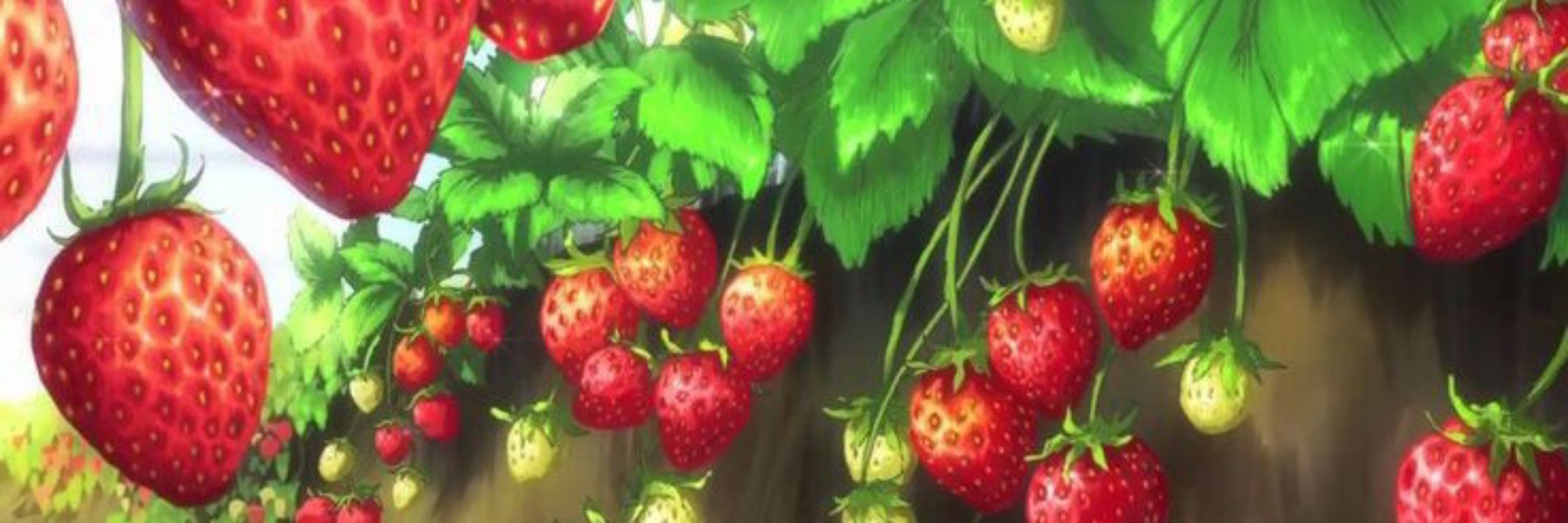lally⁷ | ᥉trᥲᥕbᥱrrᥡ🍓