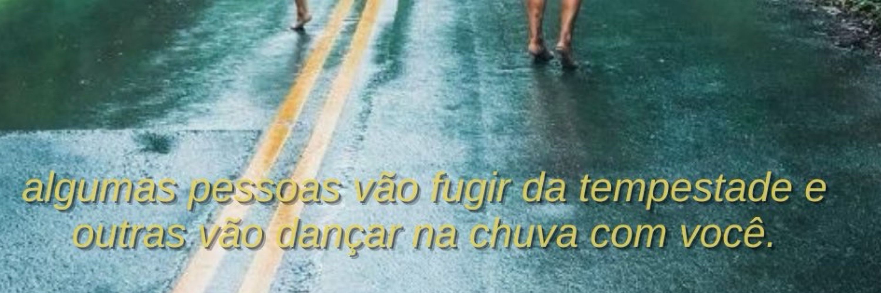 yLarinha