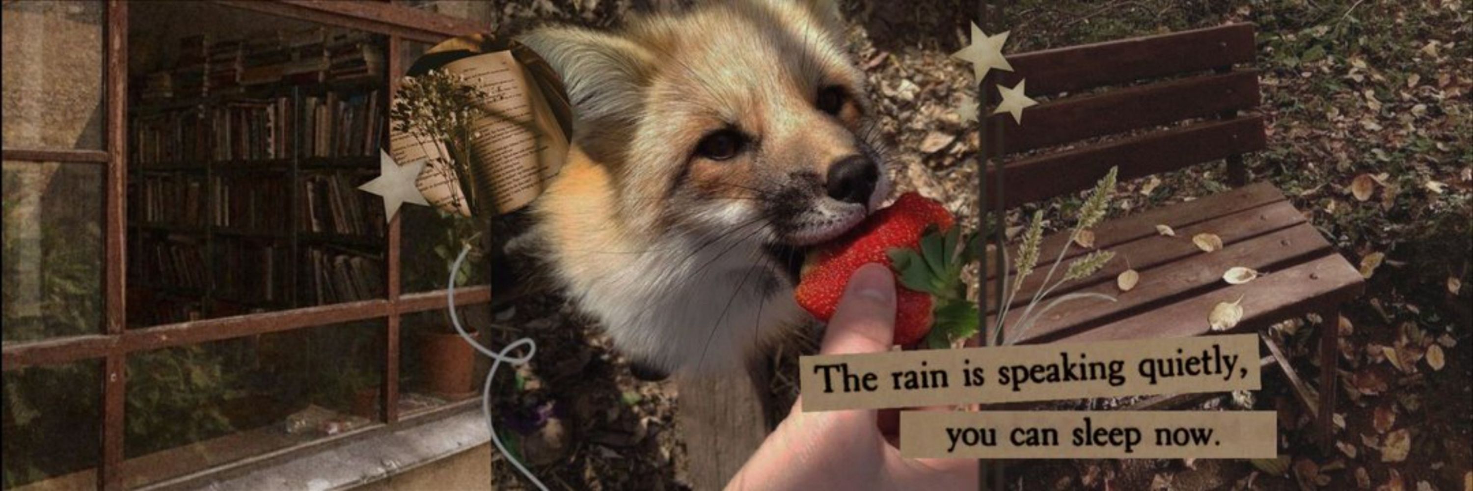 Rita 🦊