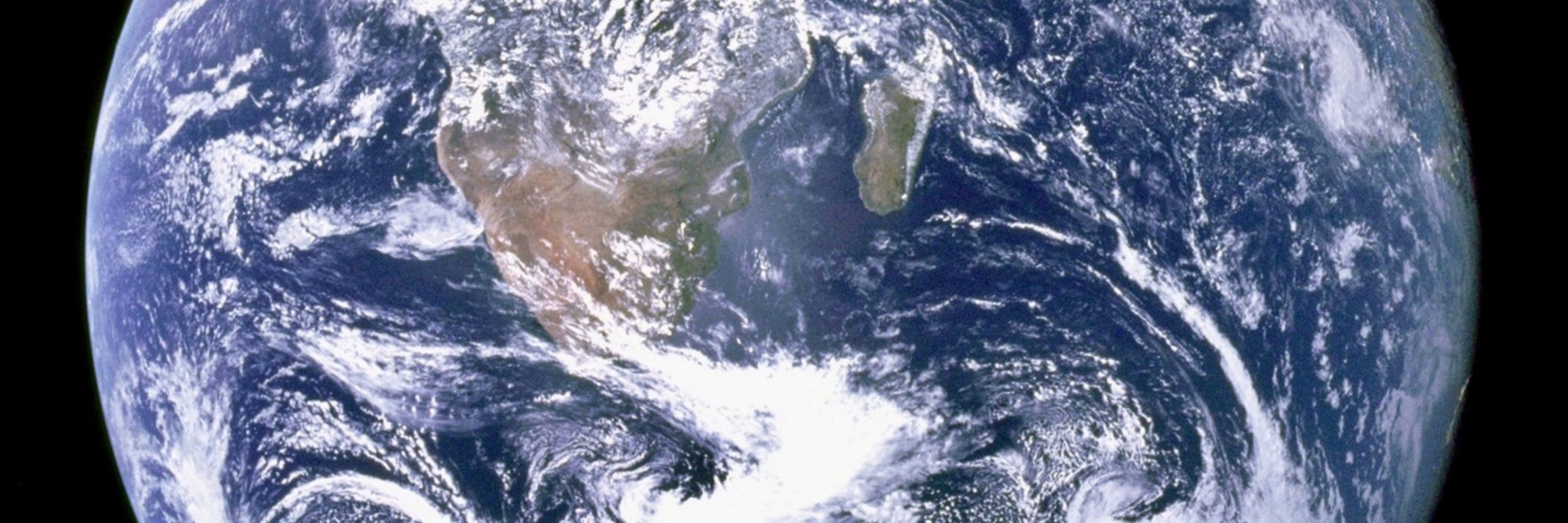 Medusa Melanco