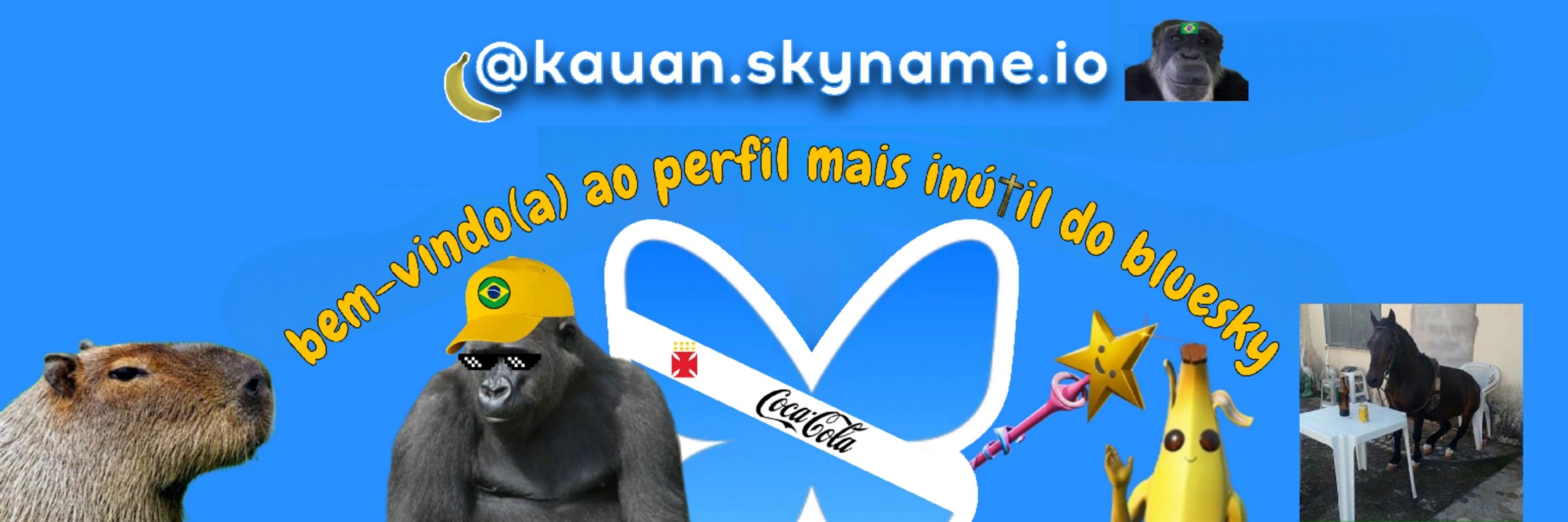 eu sou vascaíno