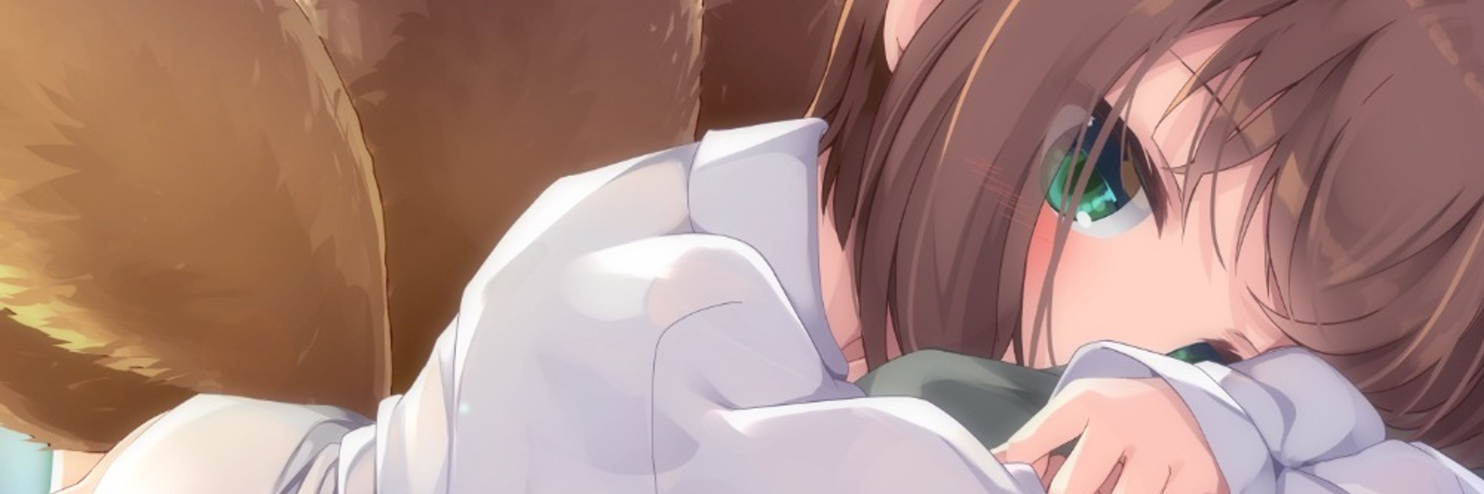 やなぎあき(mofu_aki)@Vstreamer
