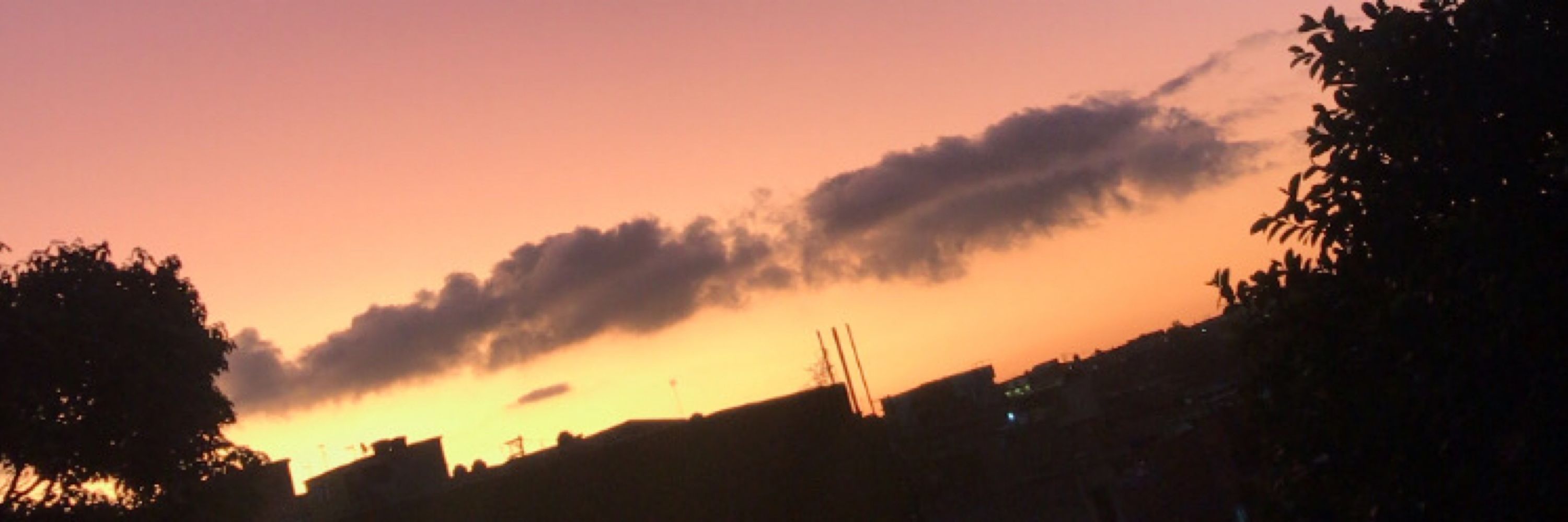 Kauany Lima 