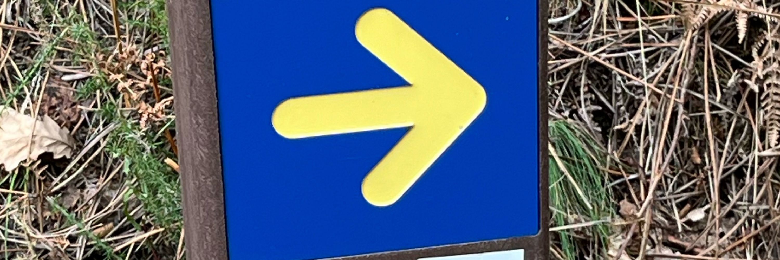 Twiga Twixt
