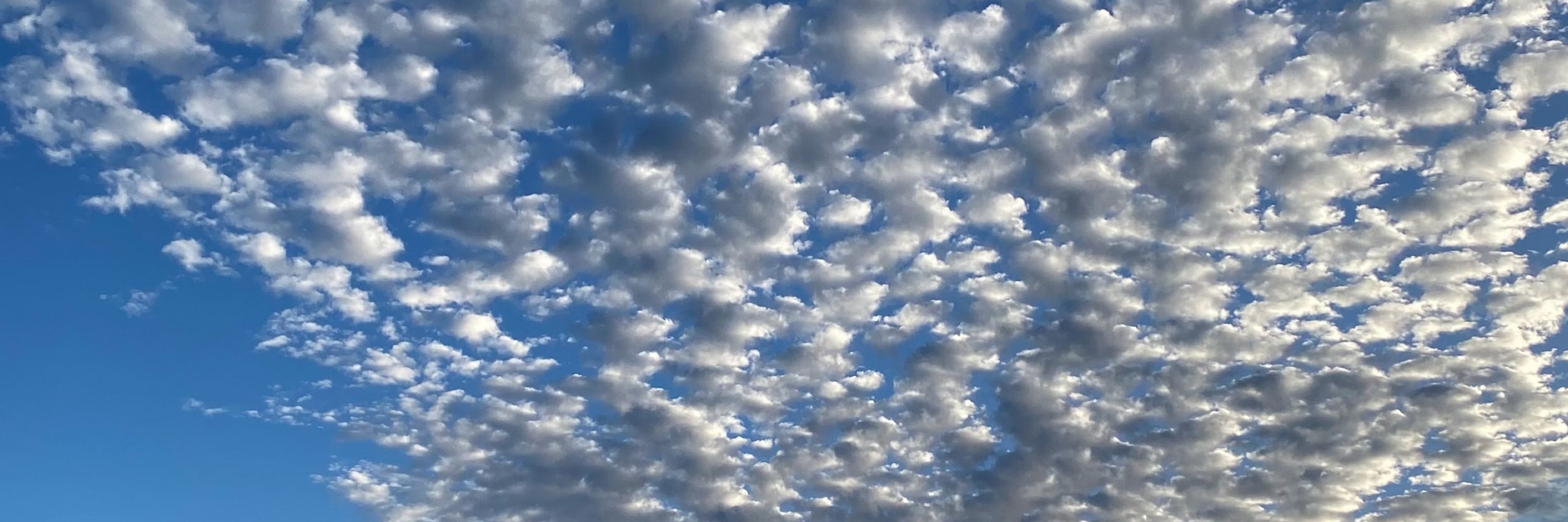 Alessandra in the Sky