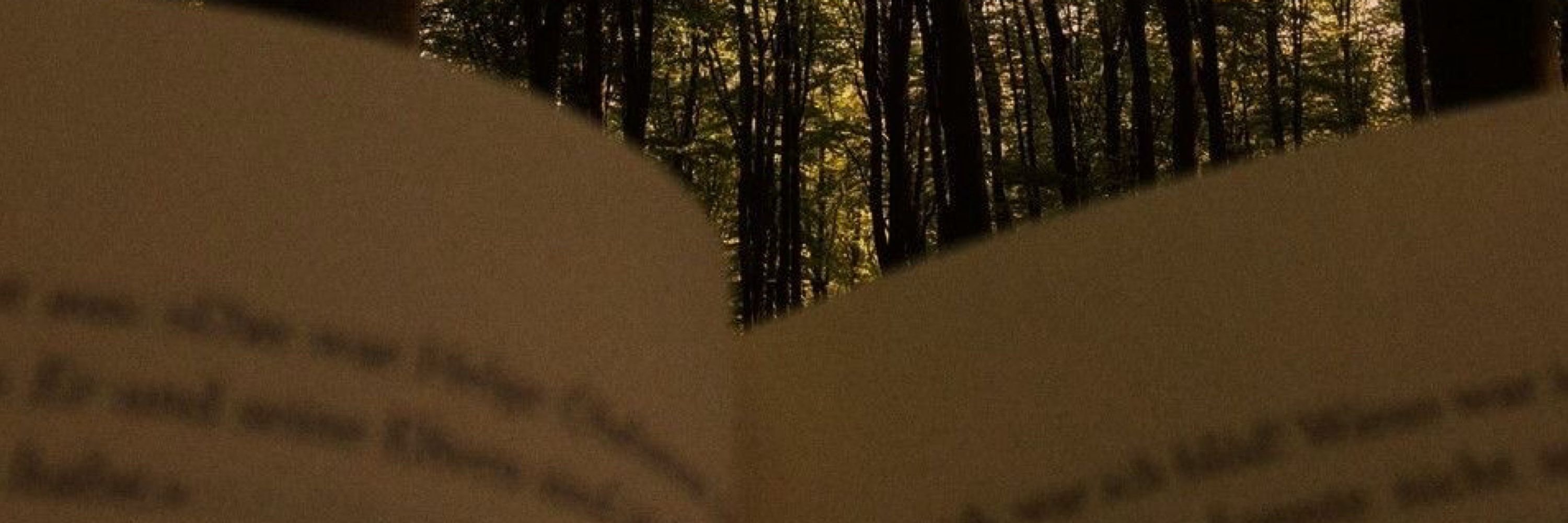 Arduxe (NEW FIC)