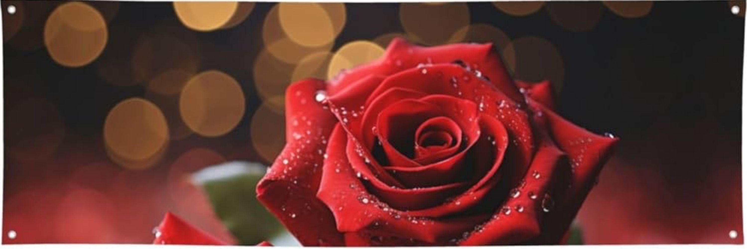 Rose / Cathy