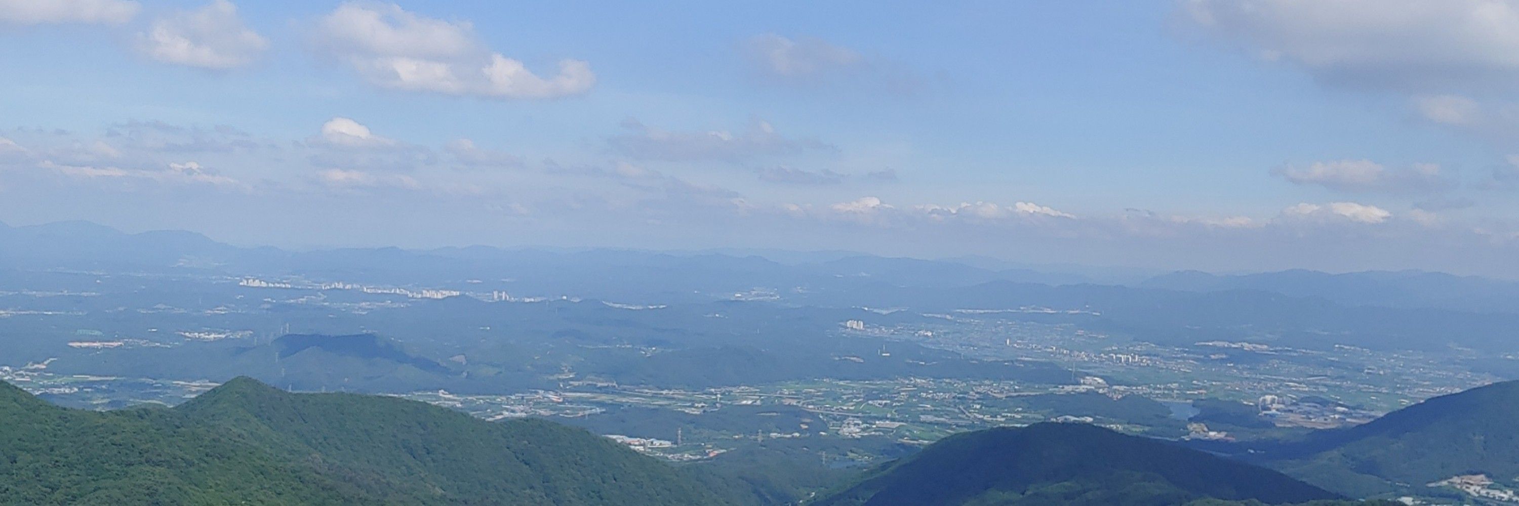 날개 or 사파이어