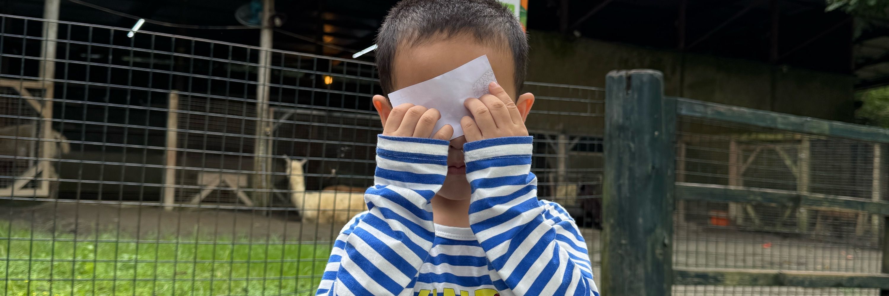 新手村裡的Finis