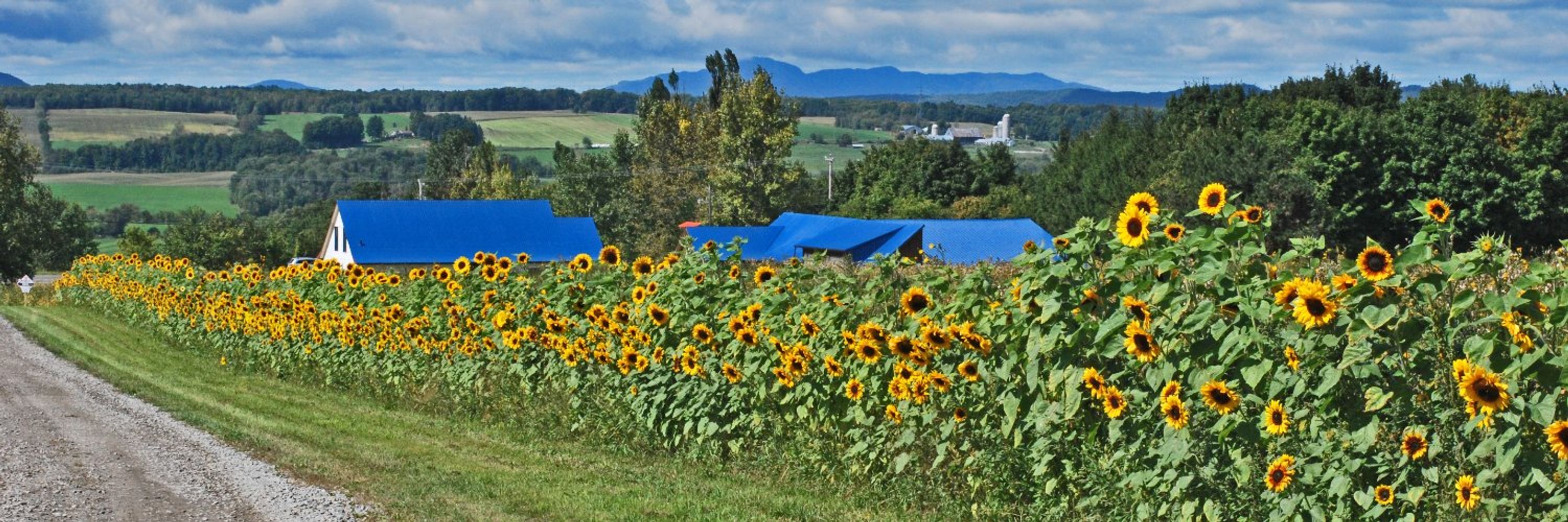 Fédération de l'UPA-Estrie