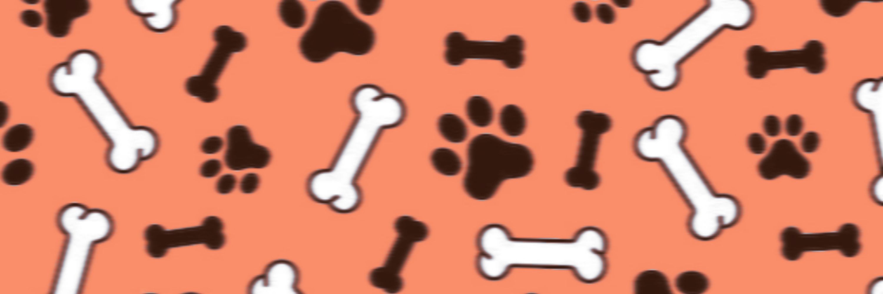 𝐶𝐼𝑂𝑇𝐼𝐶𝐾