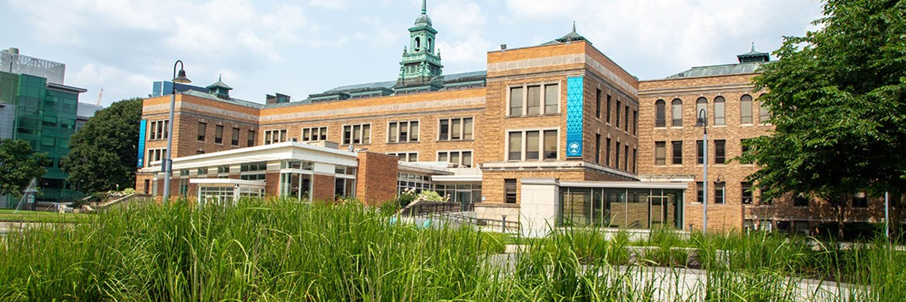 Ifill School