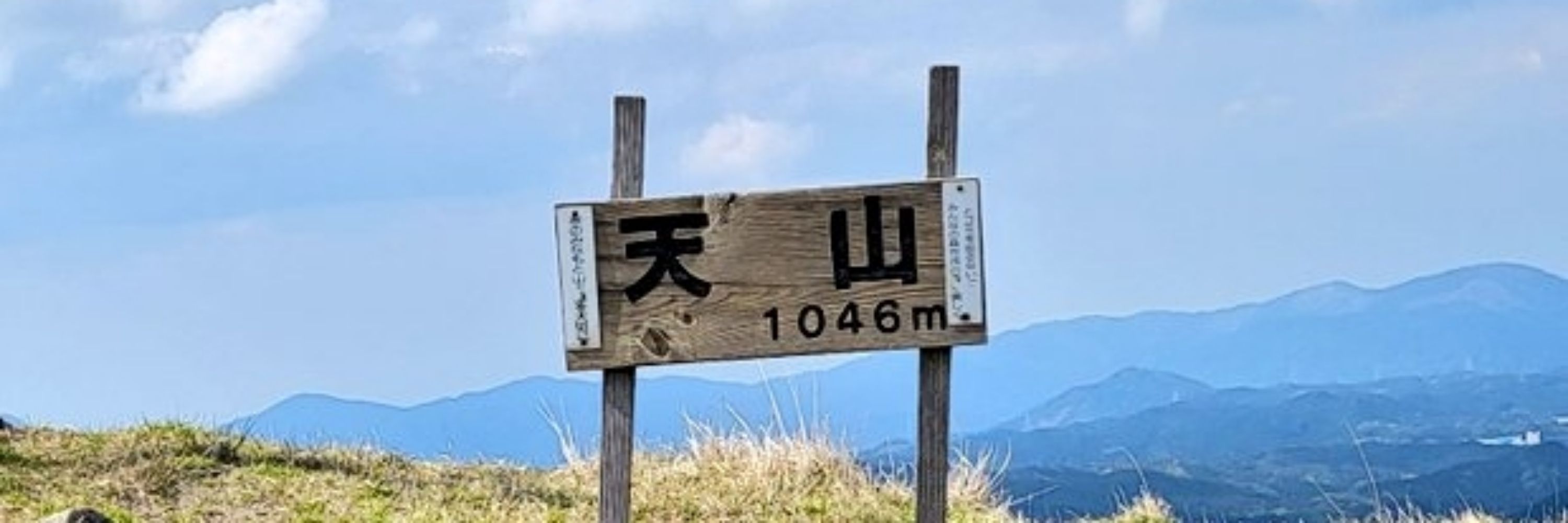 자라