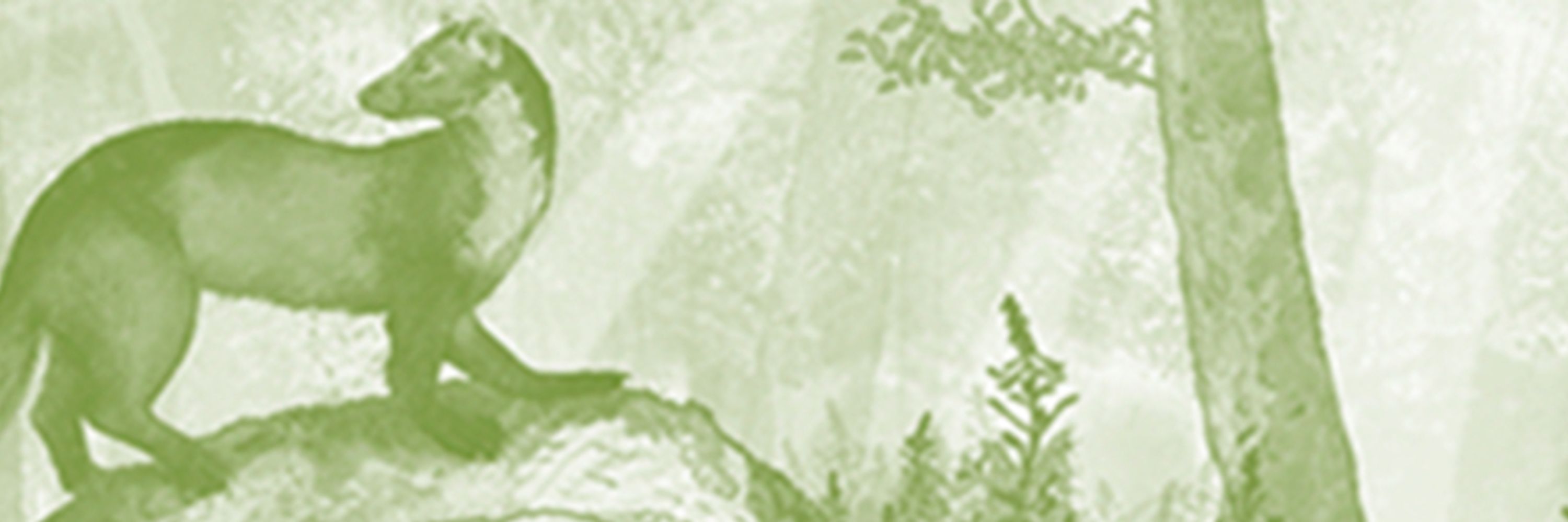 Dr Lucy Rogers