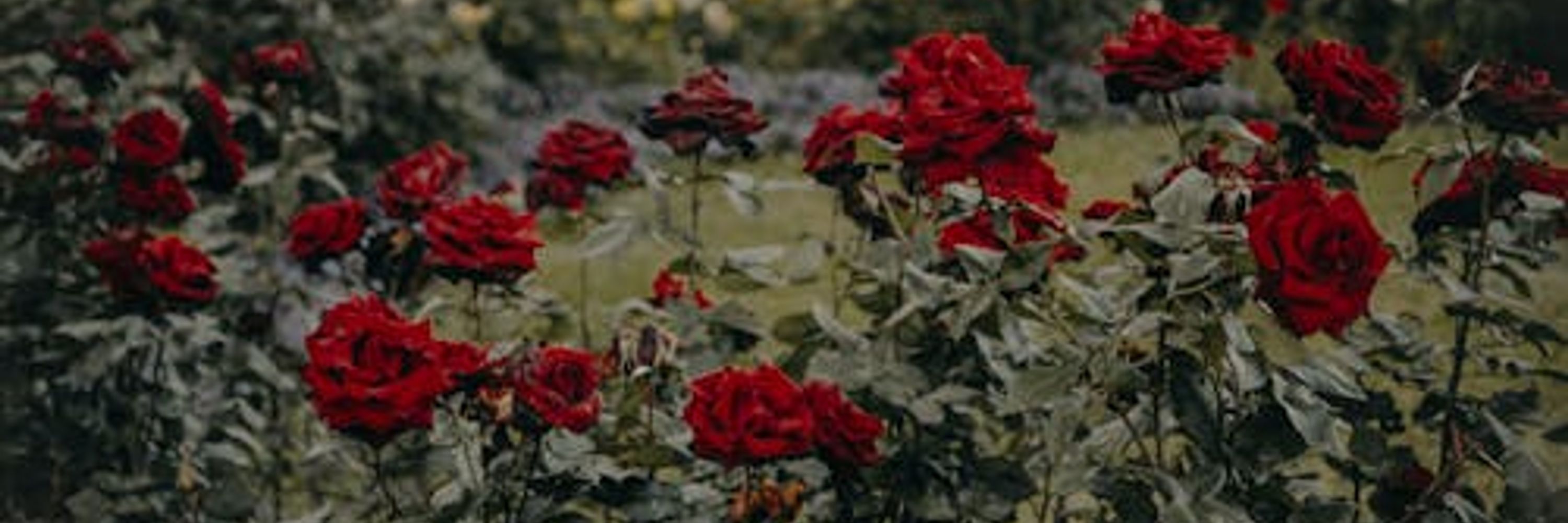 || Mimikya-🥀☕ ||