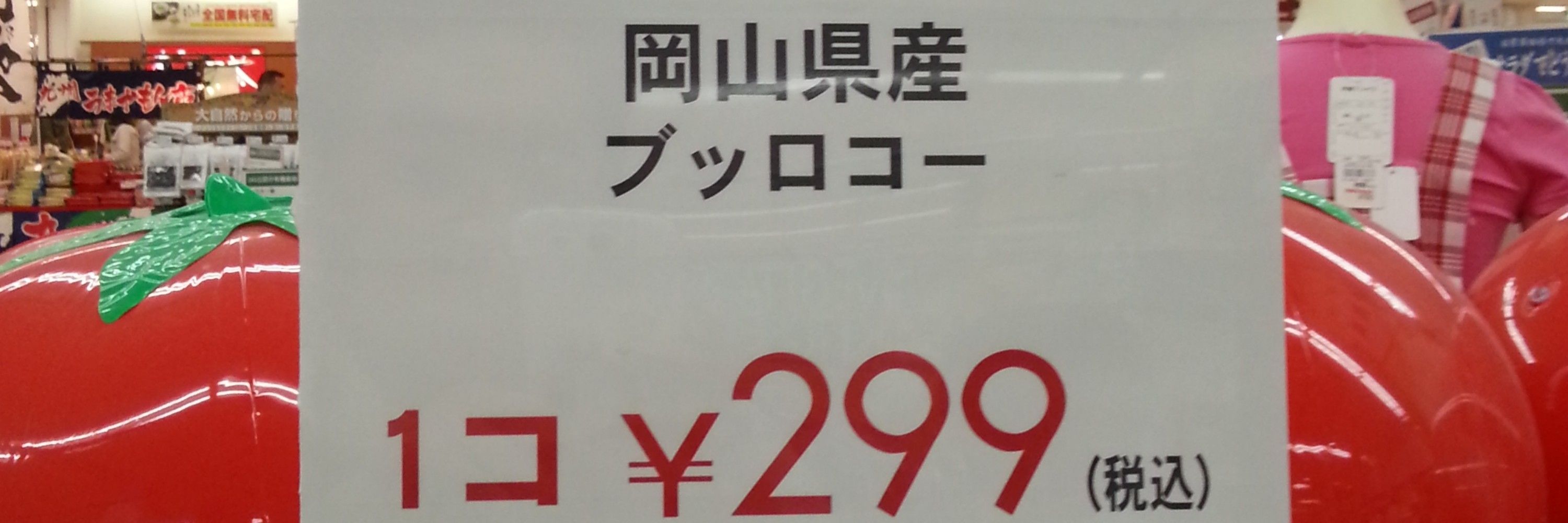 なつのす