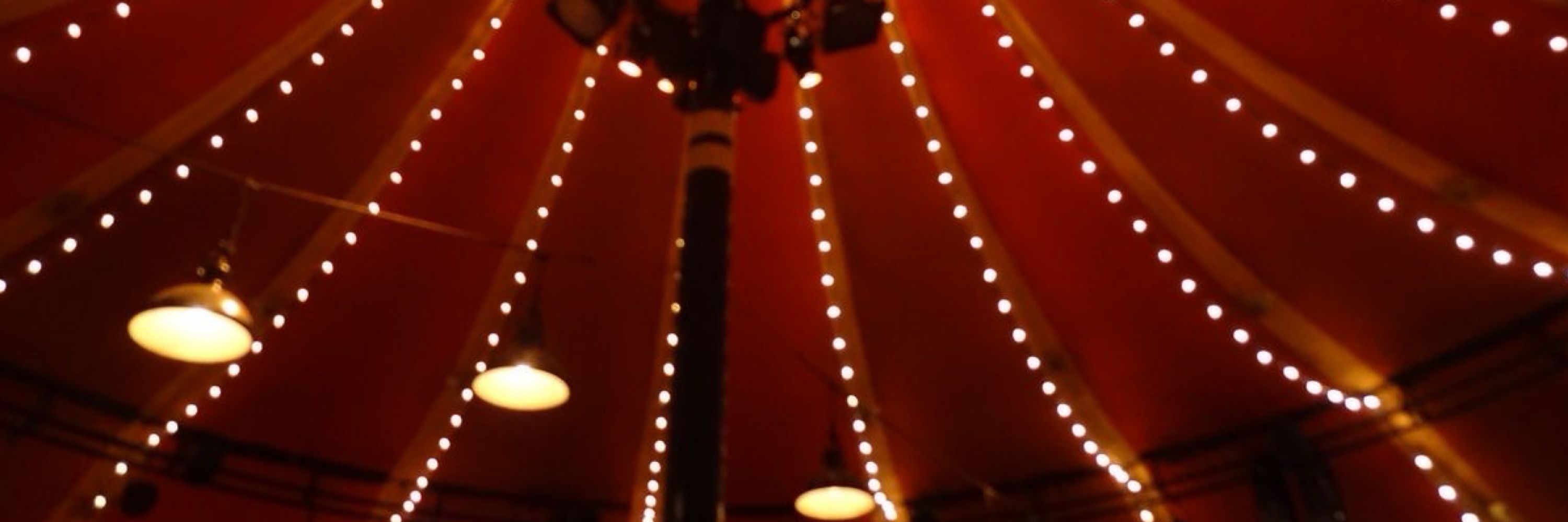 — ᗷᗩᖇᗷIE ᗯIᖇE 🎪