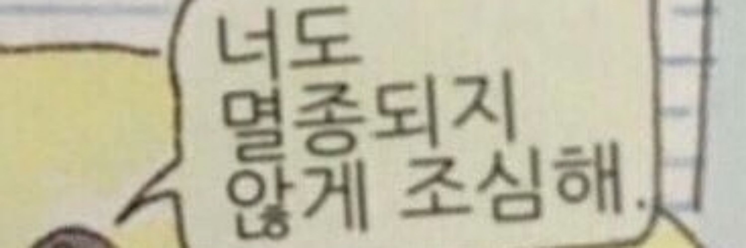 솔삣삐네이션