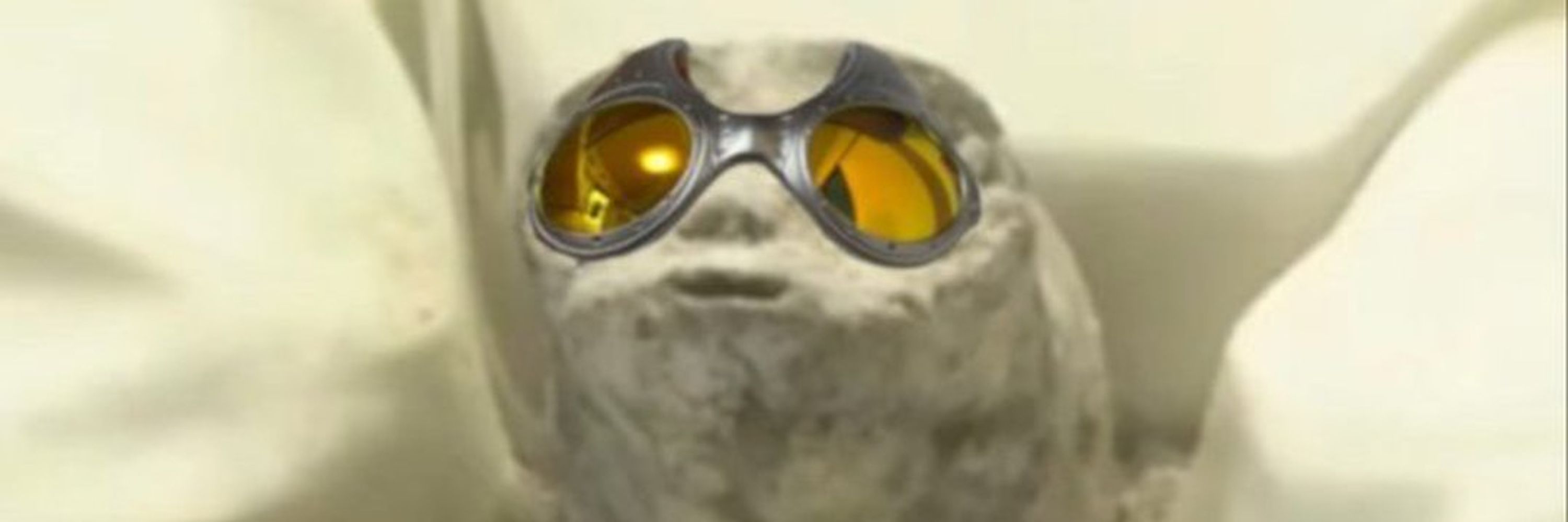Ryan