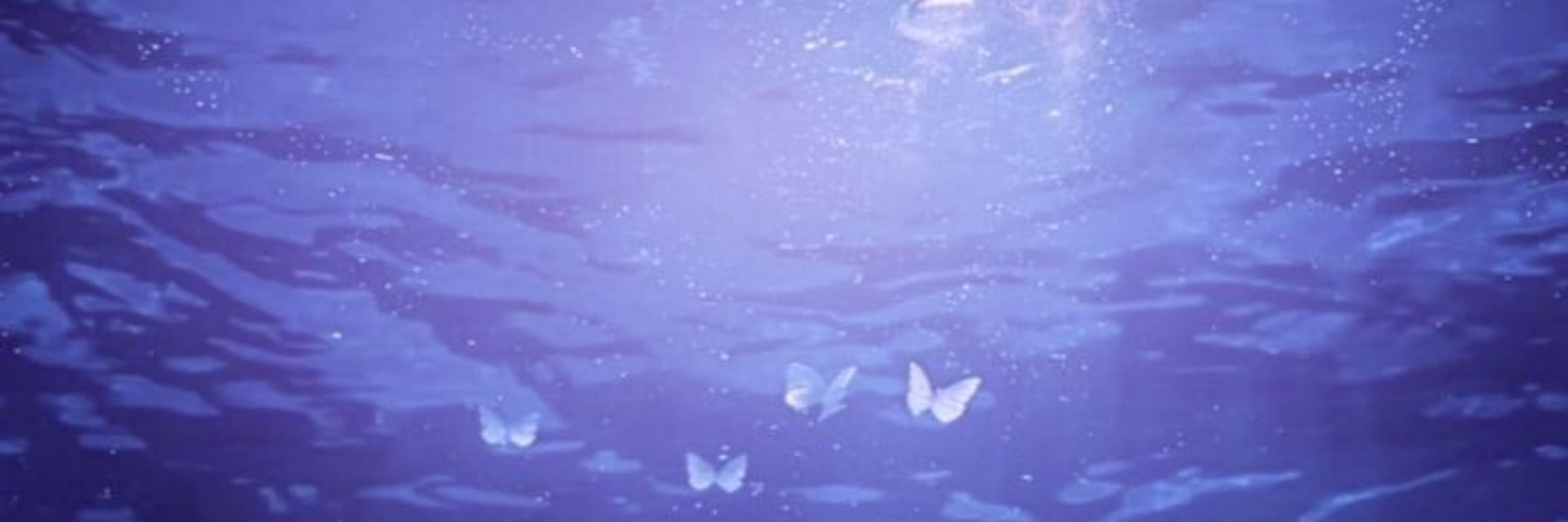 리세