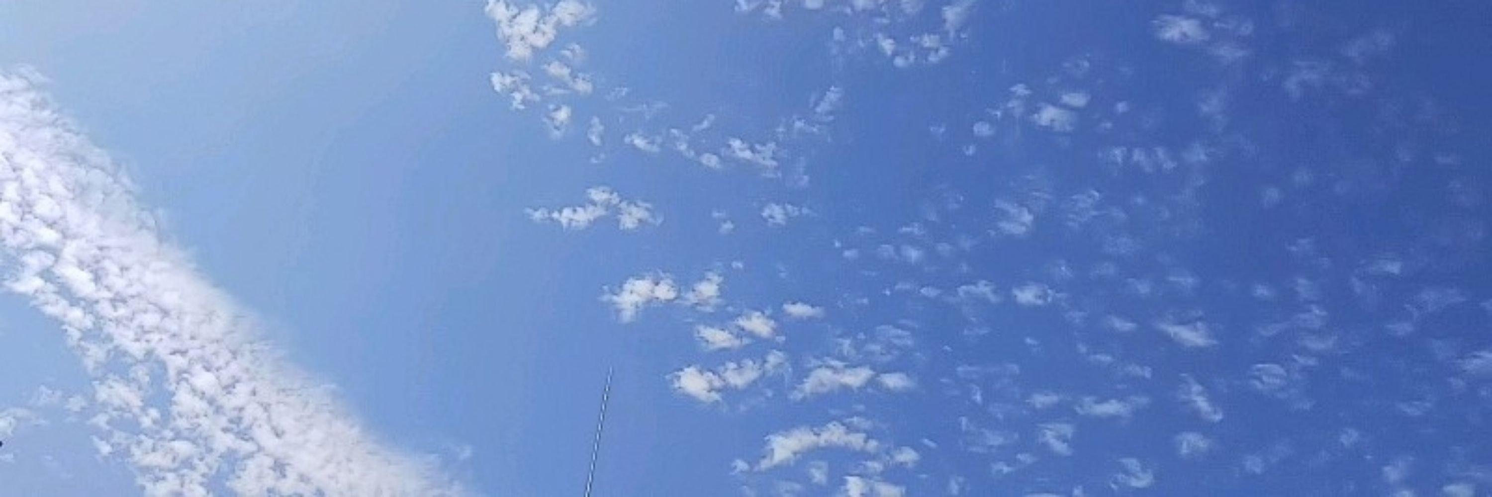 天野